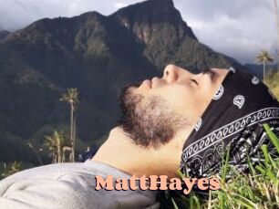 MattHayes