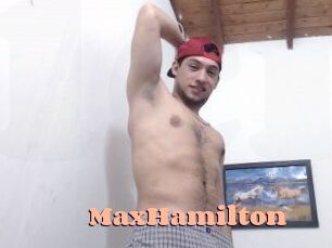 Max_Hamilton Chatte Rasée