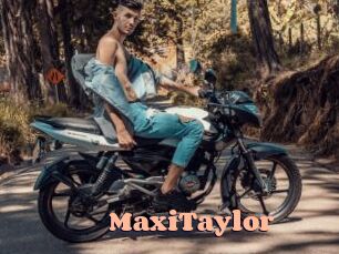 MaxiTaylor Chatte Rasée