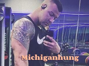 Michiganhung Chatte Rasée