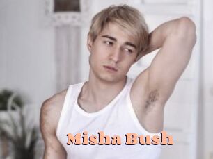 Misha_Bush