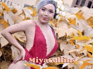 MiyaCollins Chatte Rasée