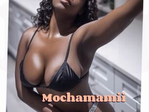 Mochamamii