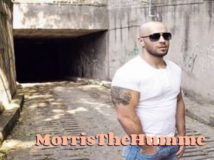 MorrisTheHumme