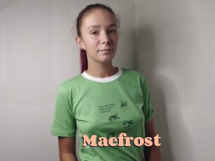 maefrost Chatte Rasée