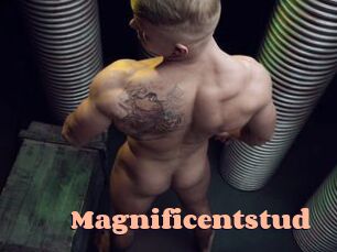 magnificentstud Chatte Rasée