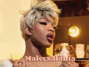malecxalahia Chatte Rasée