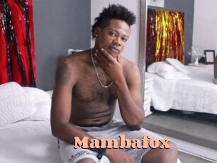 Mambafox