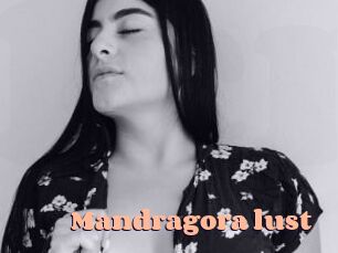 Mandragora_lust