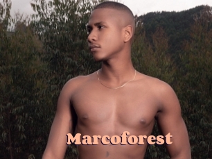 Marcoforest