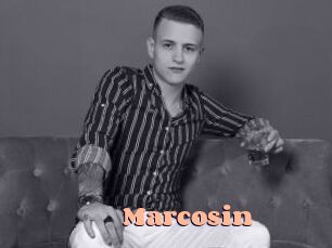 marcosin Chatte Rasée