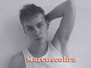 marcuscobra Chatte Rasée
