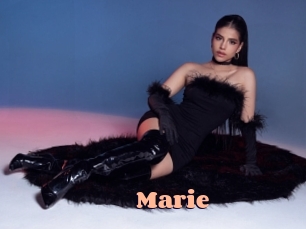 marie Chatte Rasée