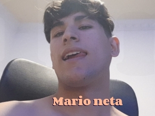 Mario_neta
