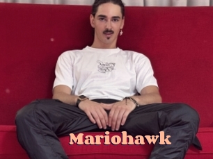 Mariohawk