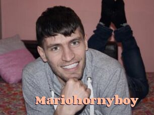 Mariohornyboy