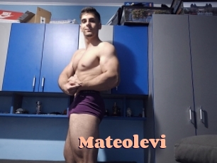 Mateolevi