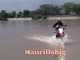 Maurillobig