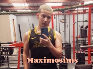 Maximosims