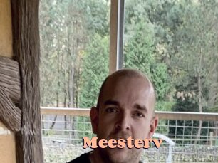 Meesterv