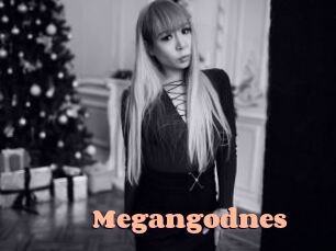Megangodnes