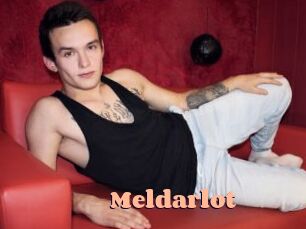 meldarlot Chatte Rasée