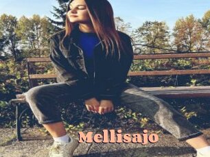 Mellisajo