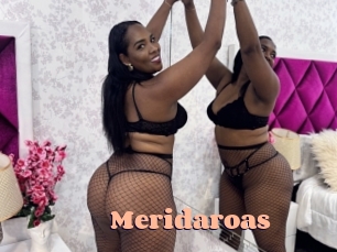 Meridaroas