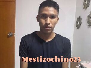 Mestizochino23