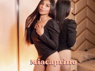 miacaprino Chatte Rasée
