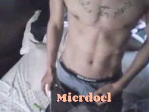 Mierdoel