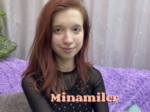 Minamiler