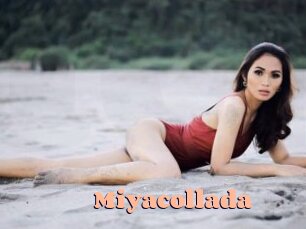 miyacollada Chatte Rasée