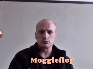 moggleflop Chatte Rasée