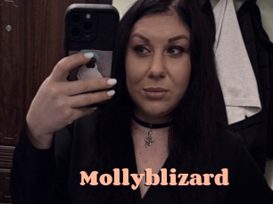Mollyblizard