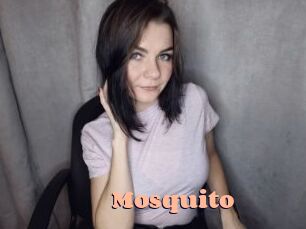 Mosquito