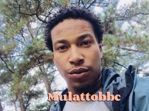 mulattobbc Chatte Rasée