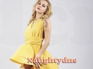 Naughtydns