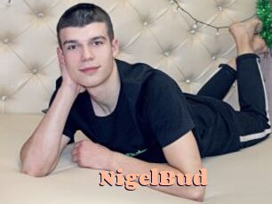 NigelBud