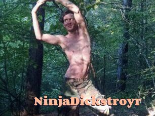 NinjaDickstroyr