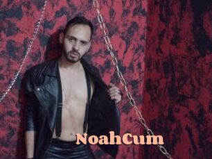 NoahCum