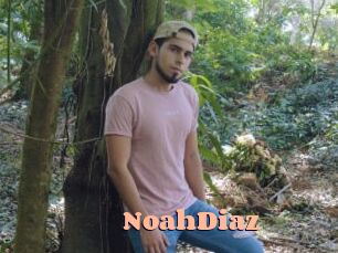 NoahDiaz
