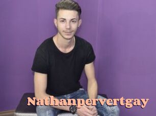 Nathanpervertgay