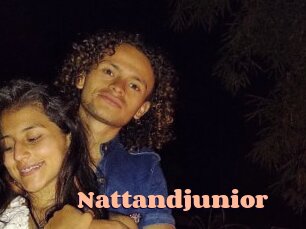 Nattandjunior