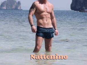 nattenino Chatte Rasée