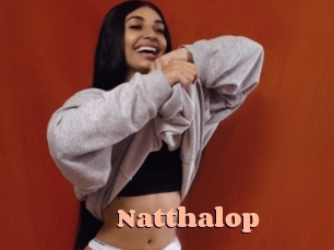 natthalop Chatte Rasée