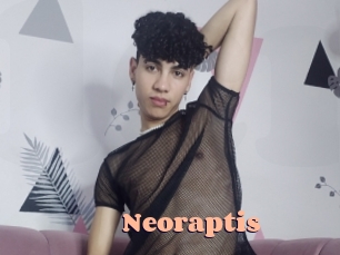 neoraptis Chatte Rasée