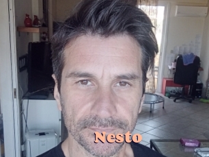 nesto Chatte Rasée