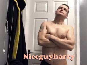 Niceguyharry