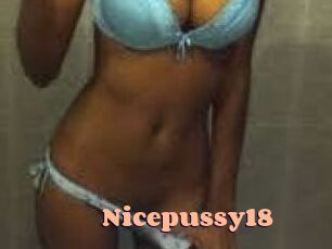 Nicepussy18